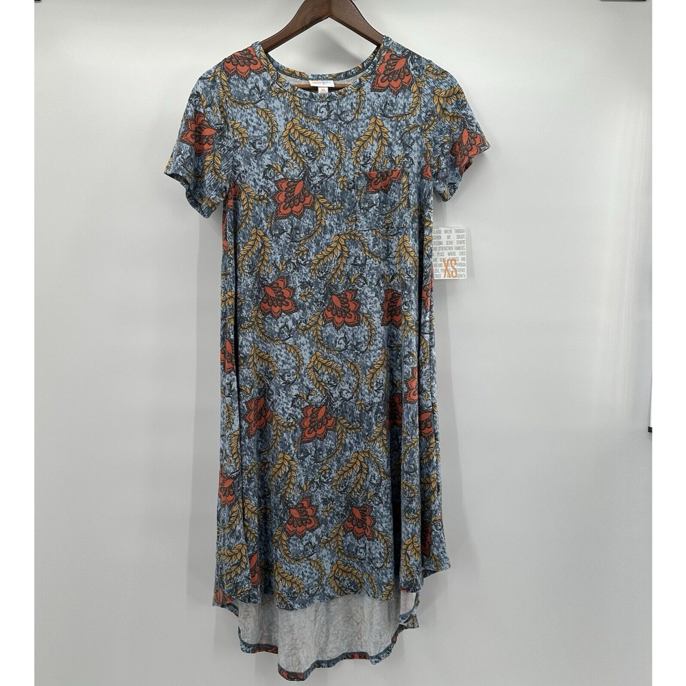 Lularoe Carly Dress Womens XS Blue Floral Bird Swing Boxy Oversized Modest - Picture 1 of 12